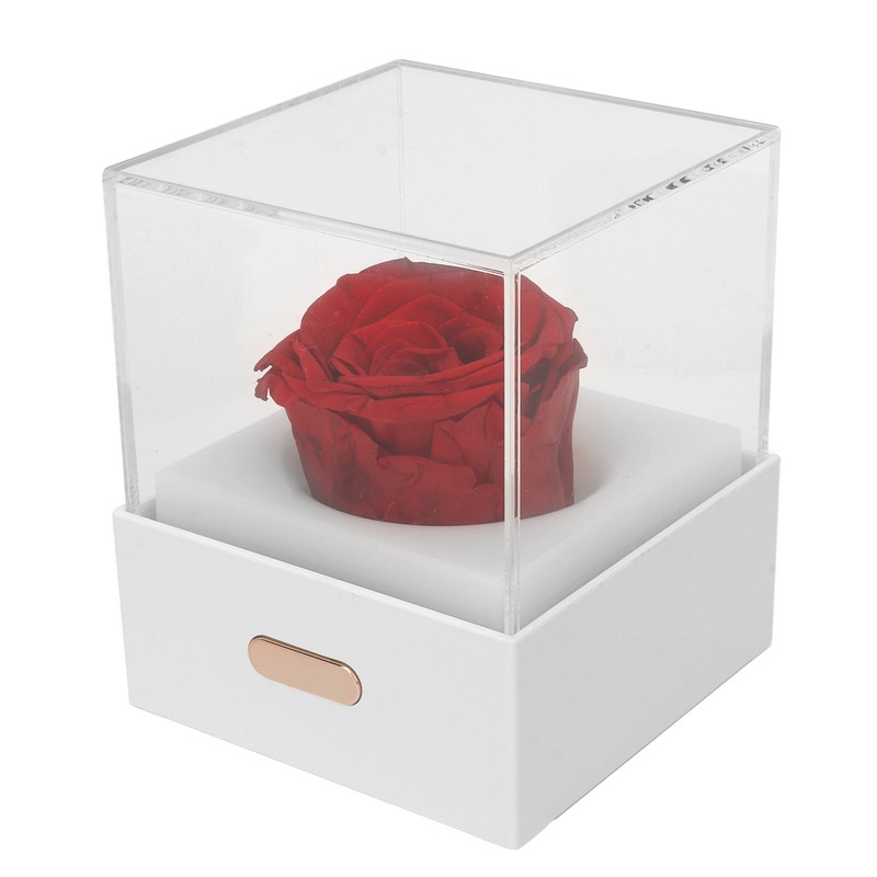 Rose Night Light Romantic Small USB Charging Soft Brightness Decoration