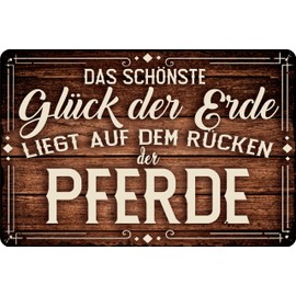 30 x 20 cm - Weatherproof Horse Sign, Horse Decorative Sign, Funny Saying for Horse Owners (The Most Beautiful Happiness on Earth is on the Back of the Horses)