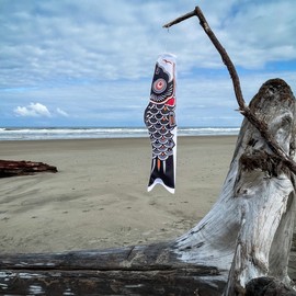 In the Breeze Koi Fish Windsock, 36-Inch, Black