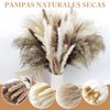 HONGHCL Pampas Decorativas Secas 120pcs - Plantas Naturales Suaves y