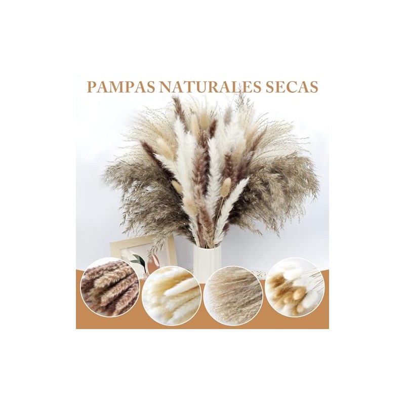 HONGHCL Pampas Decorativas Secas 120pcs - Plantas Naturales Suaves y