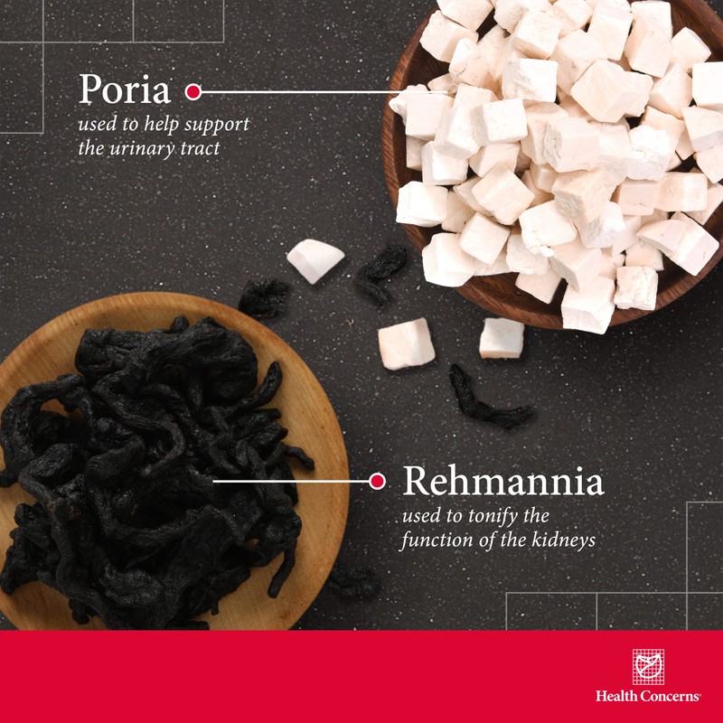 Health Concerns Health Concerns Rehmannia 8 - Back Discomfort &