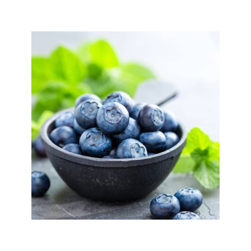 What a good day Bilberry Powder Bilberry Concentrated Powder Powder