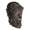 Rubies Wolfman Mask Costume Accessory