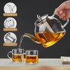 DOPUDO 1200ml Glass Teapot with Removable Infuser, Stovetop Safe Tea