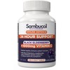 Sambucol Immune Defence 24HR Support Tab X 30