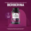 Berberina Life 360 1000 Mg 180 Cp Extracto Berberina Hcl