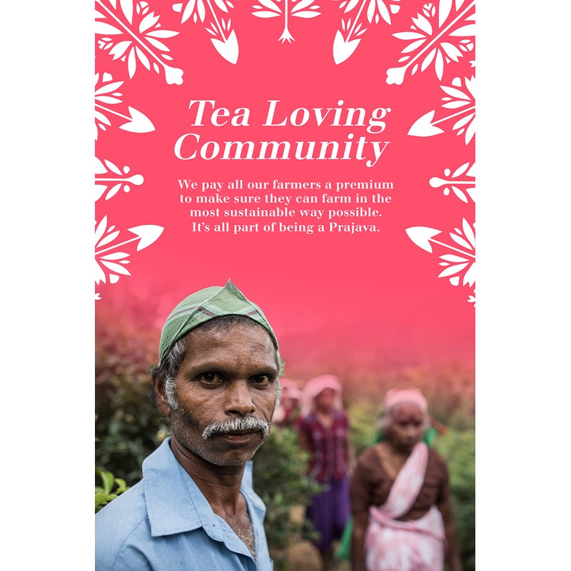 English Tea Shop Organic English Breakfast Tea (15 Pyramids), 44.9999999999999