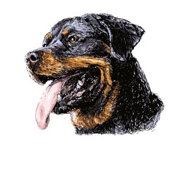 CafePress Rottweiler Throw Blanket Super Soft Fleece Plush Throw Blanket, 60"x50"