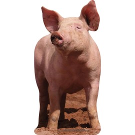 SP12942 Happy As A Pig in Dirt Cardboard Cutout Standee Standup