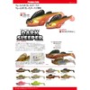 メガバス(Megabass) ワーム ダークスリーパー 3.8インチ 3/4oz シラウオ 37319
