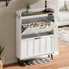 ChooChoo Shoe Storage Cabinet with 2 Flip Drawers, Deodorizing Shoe