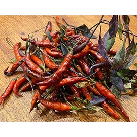 Purple Chile De Arbol Tree Chili Birds Beak Pepper Premium Seeds for Planting Packet + More