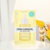 플랜36.5 데일리 앰플 피부보습 세라카라콜 비건 마스크 10매입 Plan36.5 Daily Ampoule Hydrating Ceramide Caracol Vegan Mask 10 Sheets
