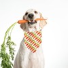 Easter Dog Bandanas 2 Pack, Bunnies Carrots Dog Scarfs for