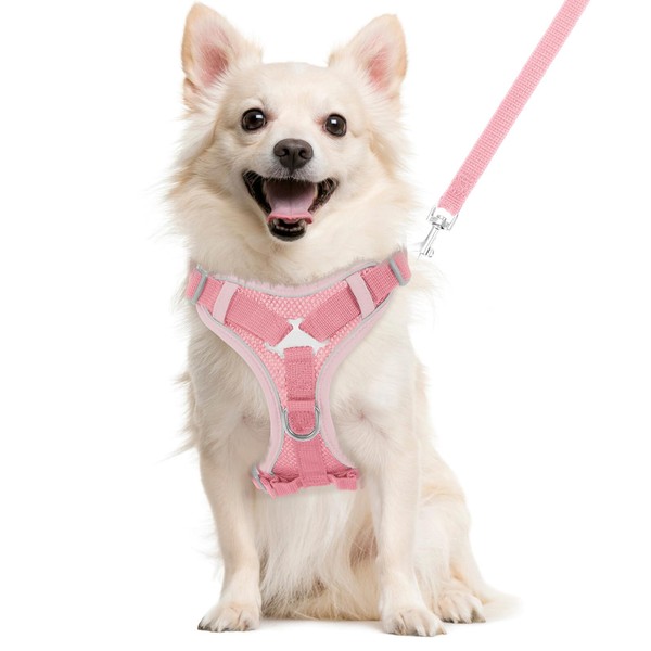 VavoPaw Cat Harness and Leash Set for Walking, Adjustable Kitten