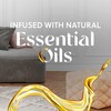 Air Wick Plug in Scented Oil Starter Kit (Warmer +