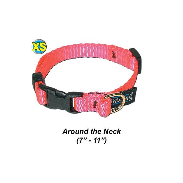 Collar, Adjustable Quick Release - Extra Small - Step 4 Red - Pet/Dog Collar