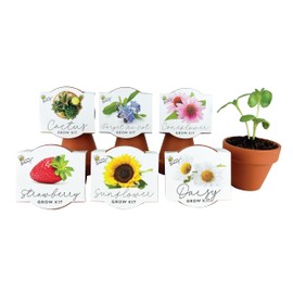 BUZZY Seeds Terracotta Mini Grow Pots | Herb, Plant, Flower Starter Kit for Kids & Adults | Assorted 6-Pack, Classic Collection | Guaranteed to Grow | Best Indoor Grow Your Own Plant Gardening Gift
