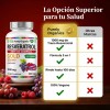 Resveratrol Gold 200 Cápsulas Suplemento Antioxidante Transresveratrol Complejo Antioxidantes Polifenoles