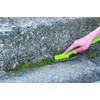 Azuma Industrial Moss Removal Brush, Stainless Steel Brush, For Cleaning
