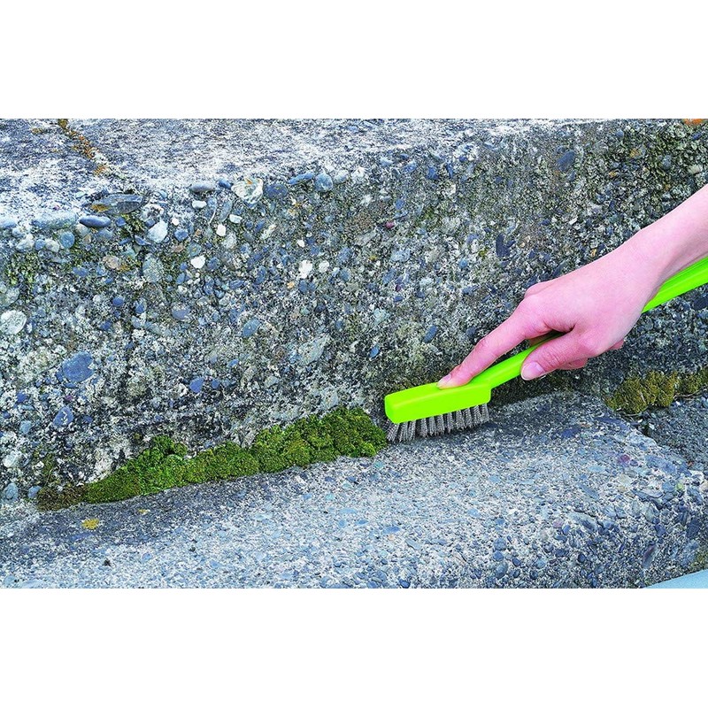 Azuma Industrial Moss Removal Brush, Stainless Steel Brush, For Cleaning