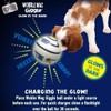 Wobble Wag Giggle 2 Pack: Glow and Original