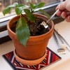 KIKKERLAND Mini Garden Tools CD703 Mini-Gartengeräte