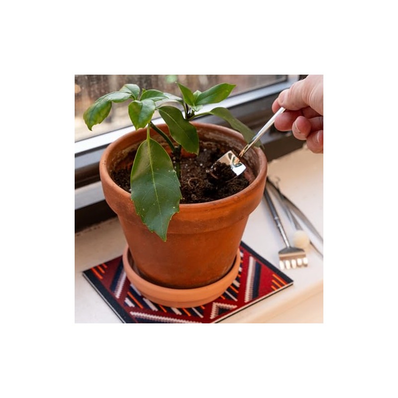 KIKKERLAND Mini Garden Tools CD703 Mini-Gartengeräte