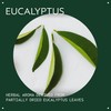 Aveda Eucalyptus Essential Oil + Base | Fresh Aroma |