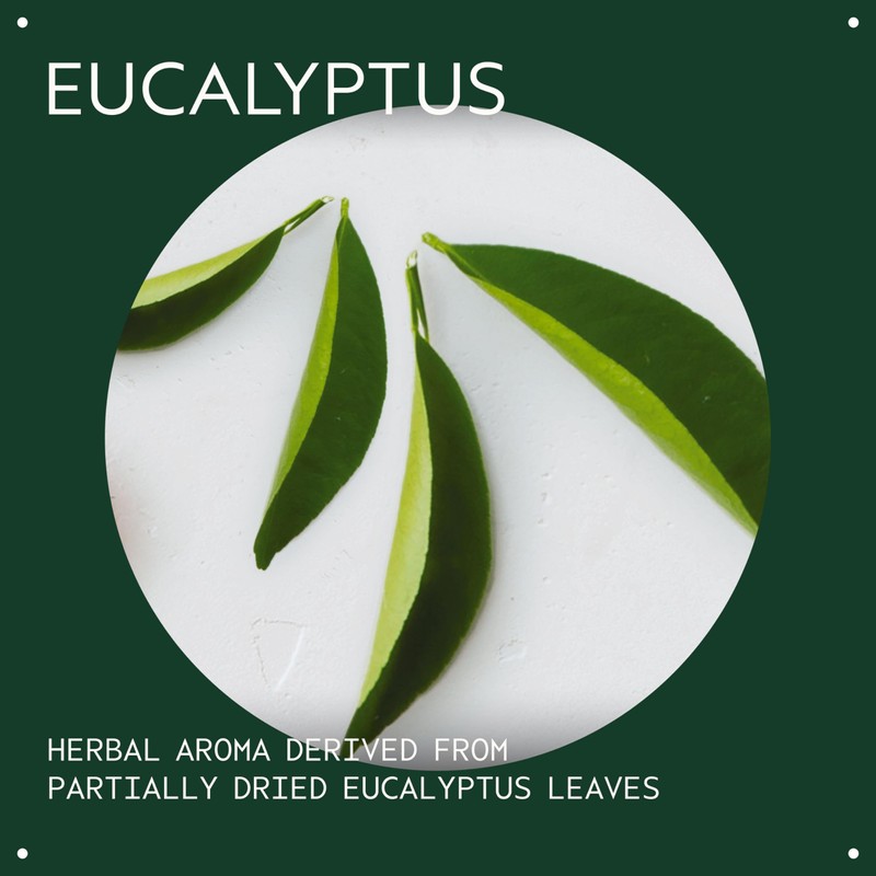 Aveda Eucalyptus Essential Oil + Base | Fresh Aroma |