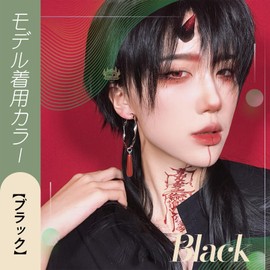 FESHFEN Wig, Wolf, Men's, Short, Full Wig, Long, Mashwolf, Men's Dresses, Wig, Wiggle, Wolf, Cut, Wig, Men's Curl, Harajuku, Handsome, Natural, Small Face, Heat Resistant, Fashion, Imechan, Unisex,