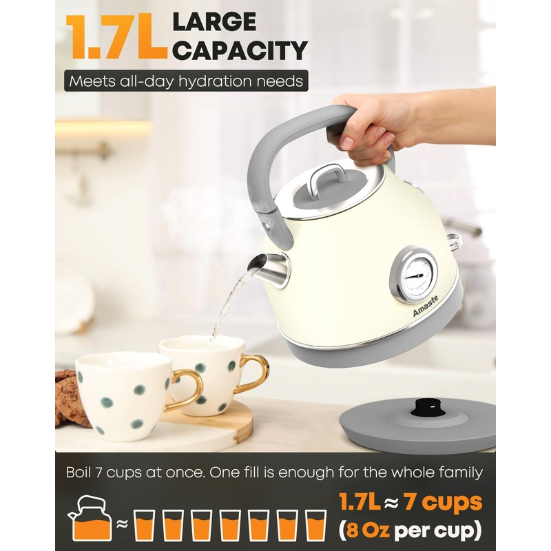 Amaste Electric Kettle, Retro Electric Tea Kettle With Thermometer, 57