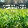 Safer Brand 9335SR Lawn Restore Natural Lawn Fertilizer - Non-Burning