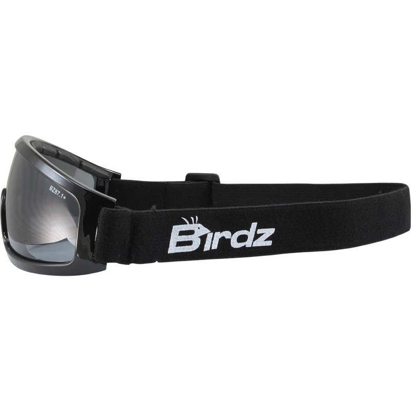 Birdz Eyewear Robin Sport Skydiving Snowboarding Motorcycle Riding Safety Goggles