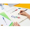 BIC Cristal Medium Ballpoint Pen, Green