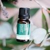 ECO. Modern Essentials Australian Eucalyptus (Blue Mallee) Pure Essential Oil,