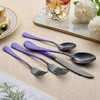 LKTDYMEG 20-Piece Black and Purple Silverware Set 18/0 Stainless Steel