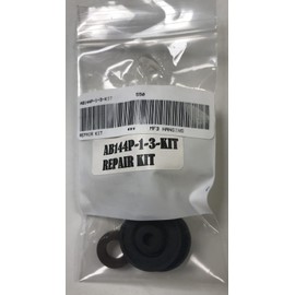 Teejet AB144P-1-3-KIT Repair Kit for 12V Solenoid DirectoValve