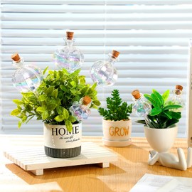 6 Pcs Plant Watering Globes Self Watering Globes Cactus Self Watering Planter Insert Automatic Plant Watering Devices Glass Plant Watering Bulbs for Summer Indoor and Outdoor Plants(Mixed Color)