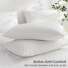 JELLYMONI Cotton Standard Pillowcases Set of 2, Soft and Cozy,