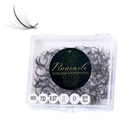 500 Fans | Wispy Promade Fans for Eyelash Extensions | Premade Spikes + Volume Fans | Made in Vietnam | Handmade Fans Lashes For Professional Lash Artists | Pinneacle Lash (Wispy | 7D | D | 13mm (Spike 15mm))