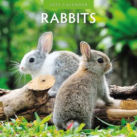 Red Robin 2025 Rabbits Monthly Wall Calendar | 12" x 24" Open | Premium Thick & Sturdy Paper | Hangable 12 Month Calendar | Plastic Free | 4 Month Transition Page for 2024