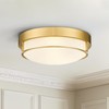 Cargifak 12 inch Flush Mount Light Fixture, 2-Light Modern Ceiling