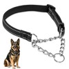 MUNCHI Collar Martingala Acolchado Reflectante, Collar Antitracción Resistente para Perros