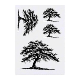 4 x 'Old Tree' Temporary Tattoos - Water Resistant, Skin-Safe, Non-Toxic Transfers, Mixed Sizes (TO00079862)