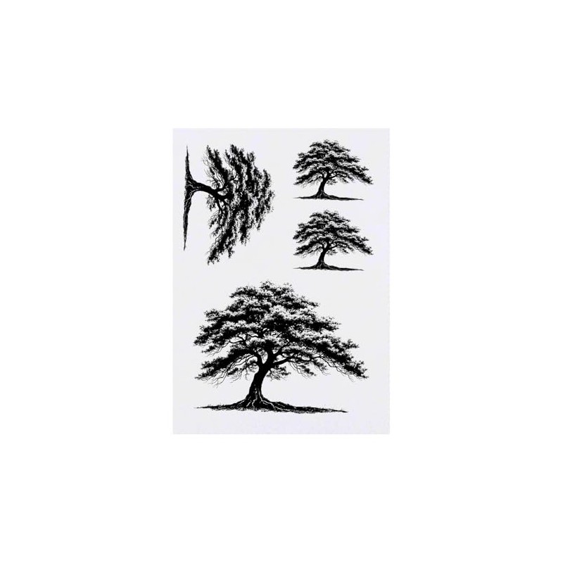 4 x 'Old Tree' Temporary Tattoos - Water Resistant, Skin-Safe,