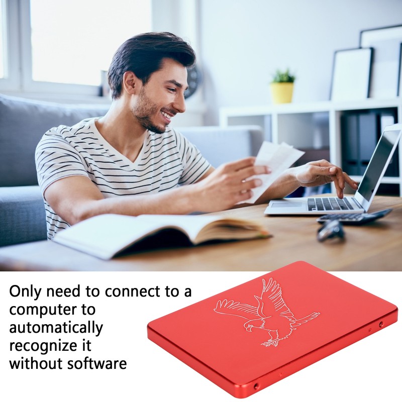 Hsthe Sea Mobile Solid State Disk Portable 2.5 Inch Metal