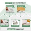 T3-R ​​Sticky Traps for Mice and Insect Glue Boards -