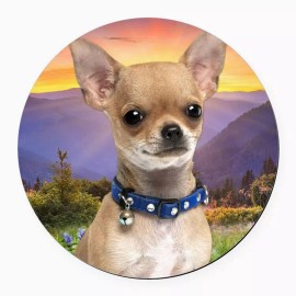 Fashion Jewelry CHIHUAHUA DOG ANIMAL PET Pendant Charm On 925 Sterling Silver 22" Necklace Gift